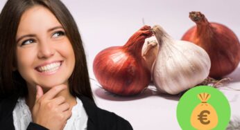 Aglio e cipolla, quando scopri come coltivarli sulla finestra smetti di comprarli: soluzione salvaeuro